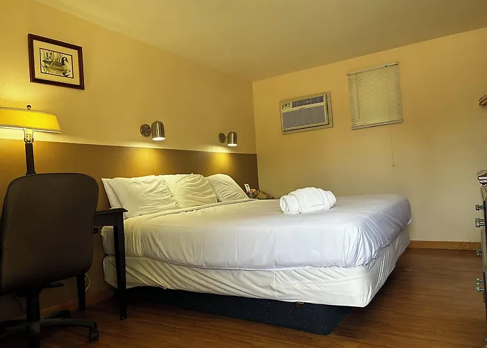Hotel Jet Motor -